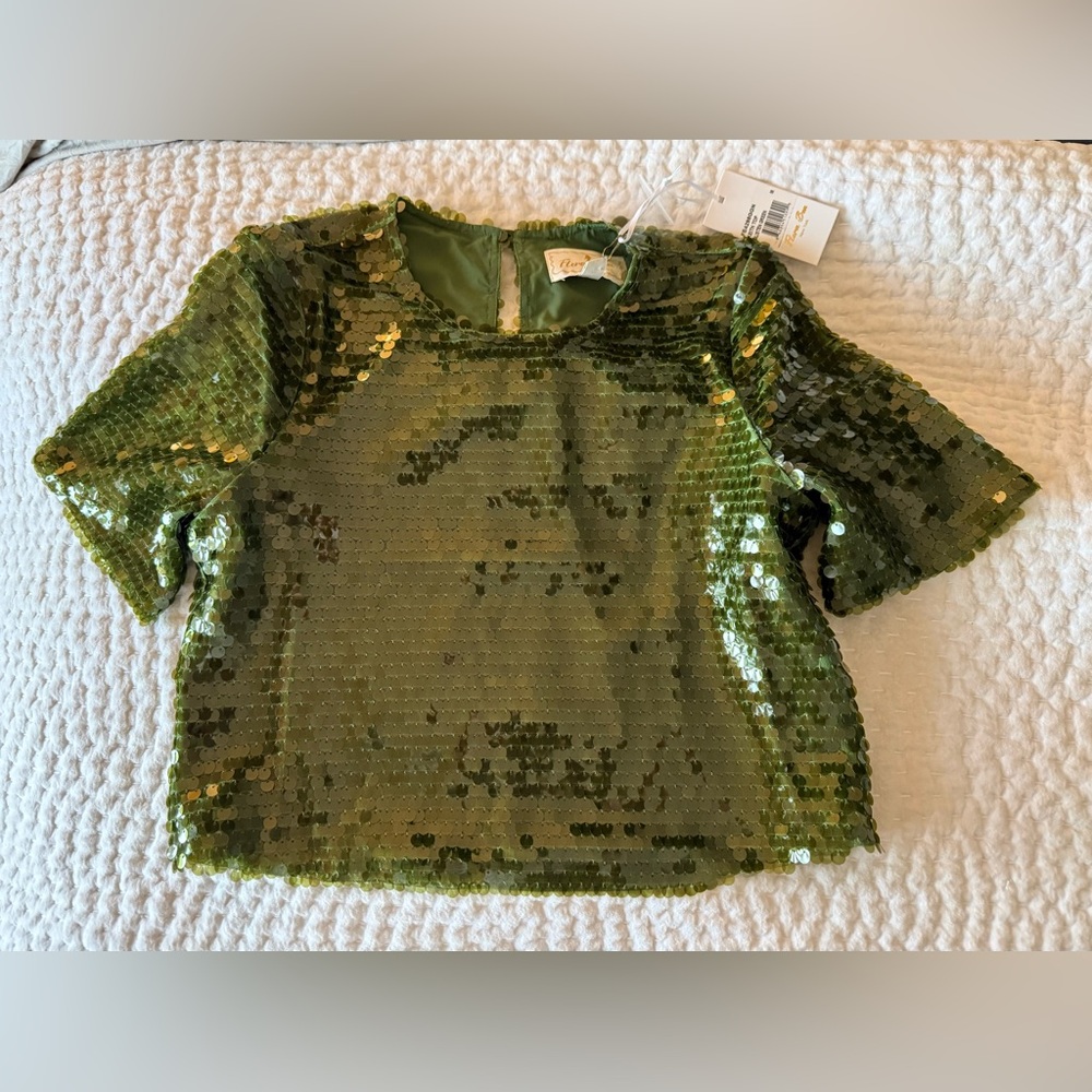 Green Sequin Crop Top